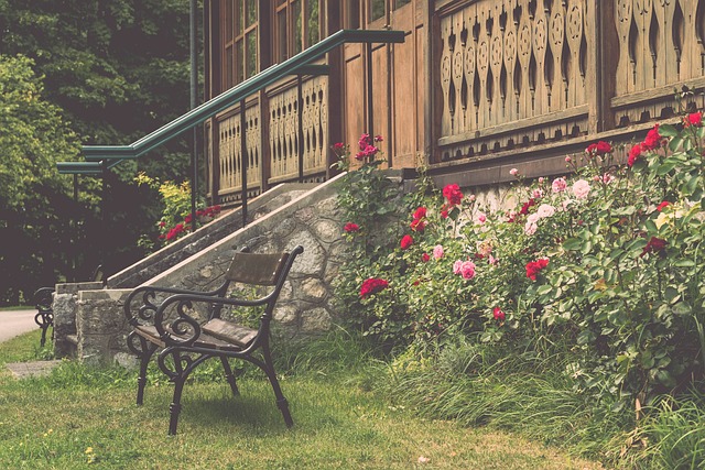 不仅会改写 不仅会改写