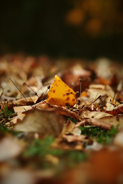 挑战与应对 挑战与应对