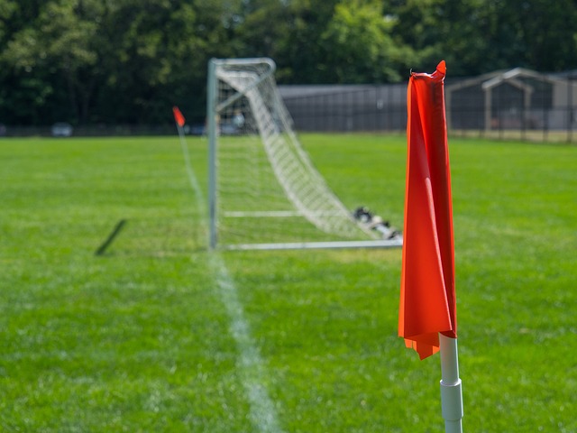 意甲：罗马胜拉齐奥.