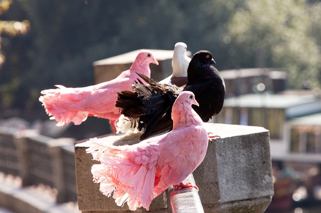 速度与技巧 速度与技巧