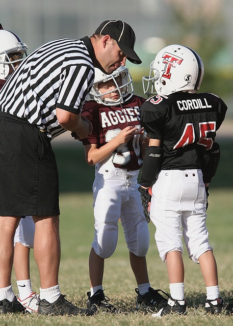 依靠黄牛来 依靠黄牛来