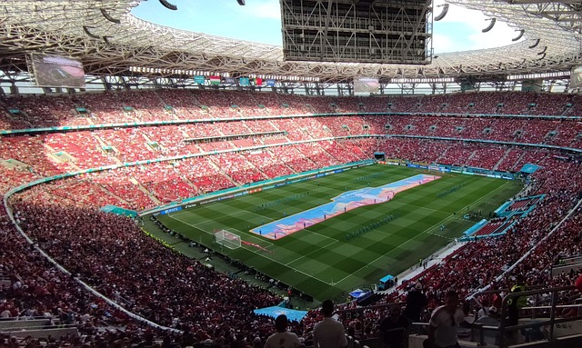 敬请期待 敬请期待