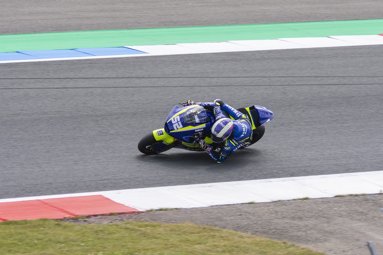 研究表明 研究表明