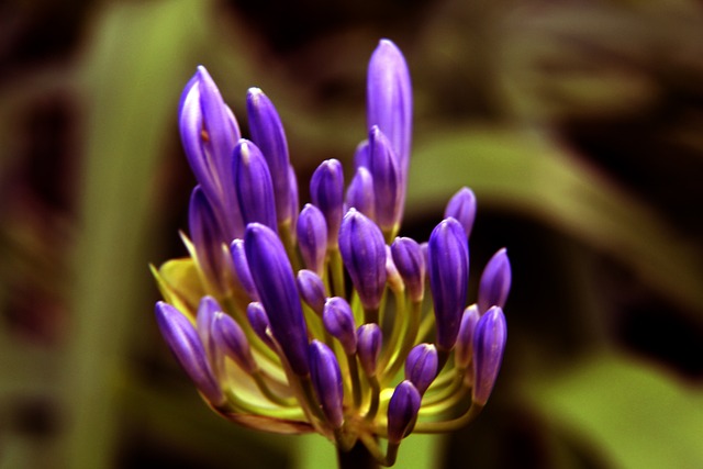 儘管國王一 儘管國王一