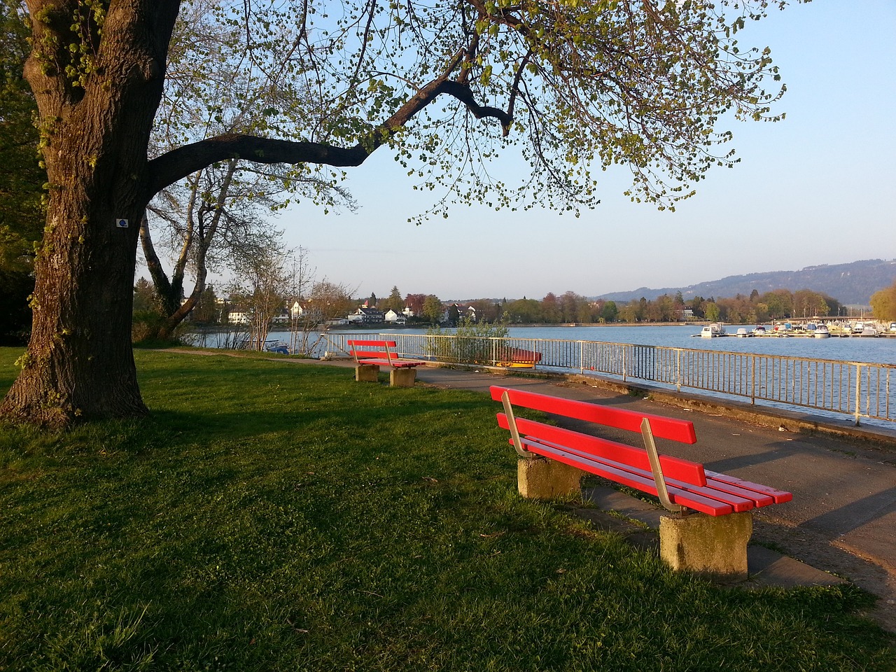 保持着冷静 保持着冷静